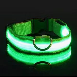COPY - Glowing Dog Collars